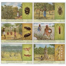 S 1668 / LIEBIG / INSETTI...