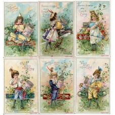 S 0551 / LIEBIG / PICCOLI...