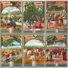 S 0566 / LIEBIG / PIANTE...