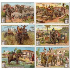 S 0701 / LIEBIG / ELEFANTE...