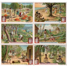 S 0878 / LIEBIG / ALBERI...