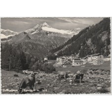 CARTOLINA LOMBARDIA SONDRIO...