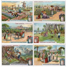 S 1019 / LIEBIG / FIORI...