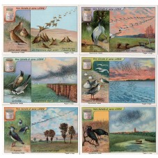 S 1122 / LIEBIG / LA...