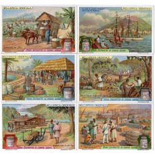 S 1132 / LIEBIG / NELL...