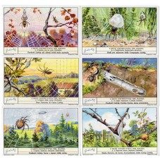 S 1308 / LIEBIG / L ARTE...