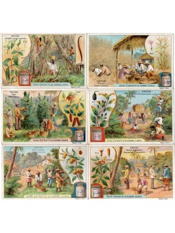 S 0700 / LIEBIG / DROGHE...