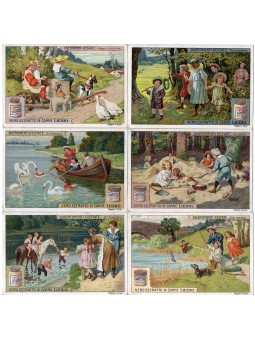 S 0991 / LIEBIG /...