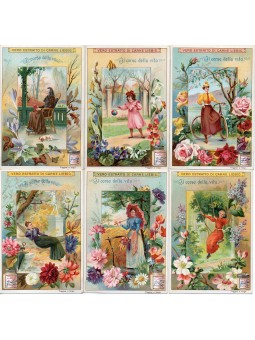 S 0689 / LIEBIG / IL CORSO...