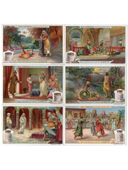 S 0941 / LIEBIG / NALA E...