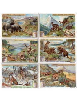 S 0958 / LIEBIG / FAUNA...