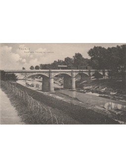 CARTOLINA FAENZA PONTE...