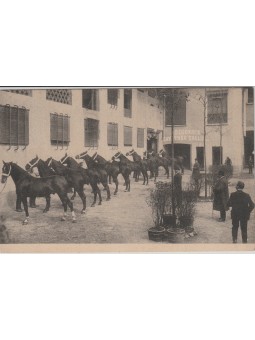 CARTOLINA SCUDERIE CAV....