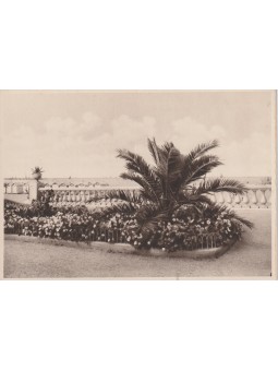 CARTOLINA MARCHE SAN...