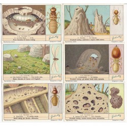 S 1364 / LIEBIG / LE...