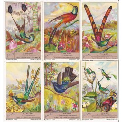 S 1332 / LIEBIG / I COLIBRI...