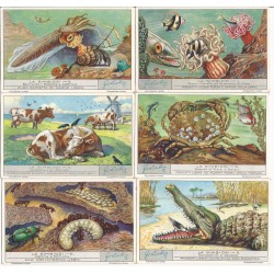 S 1283 / LIEBIG / LA...