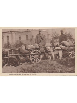 CARTOLINA MILITARE 1°...