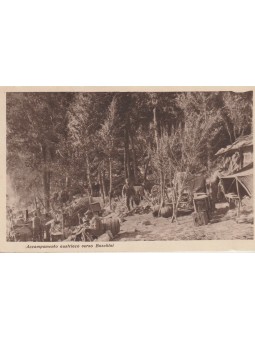 CARTOLINA MILITARE 1°...