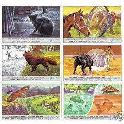 S 1861 / LIEBIG / COSI...