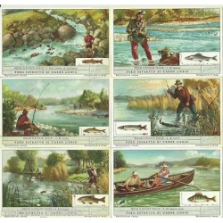 S 1623 / LIEBIG / PESCA D...