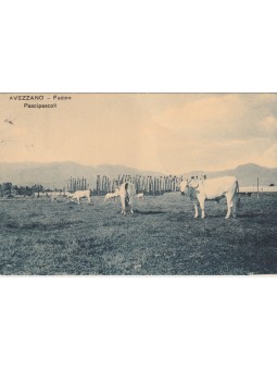 ABRUZZO L'AQUILA AVEZZANO...