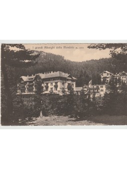 CARTOLINA - TRENTINO...