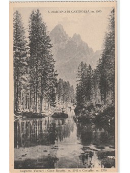 CARTOLINA TRENTINO A. A....