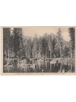 CARTOLINA TRENTINO A. A....