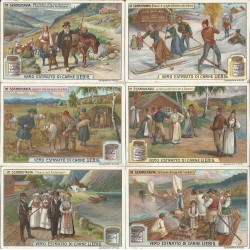 S 0910 / LIEBIG / IN...