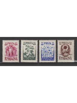 1955 ROMANIA COLTIVAZIONI...