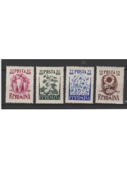 1955 ROMANIA COLTIVAZIONI...