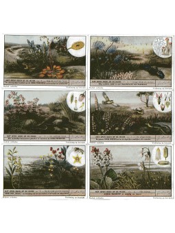 S 1511 / LIEBIG / NELLA...