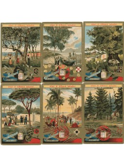 S 0501 / LIEBIG / ALBERI DI...