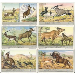 S 1559 / LIEBIG / LE...