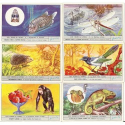 S 1860 / LIEBIG / COSI...