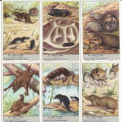 S 1645 / LIEBIG / GLI...