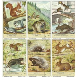 S 1601 / LIEBIG / I...