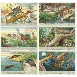 S 1571 / LIEBIG /...