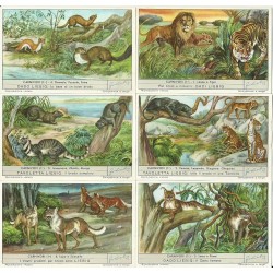 S 1564 / LIEBIG / I...