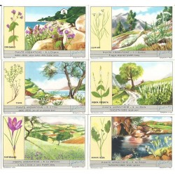 S 1671 / LIEBIG / PIANTE...