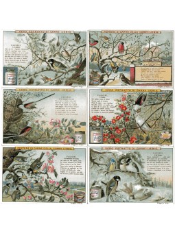 S 0598 / LIEBIG / PASSERI...