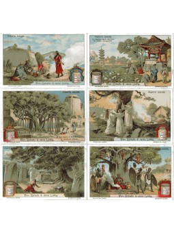 S 1028 / LIEBIG / PIANTE...