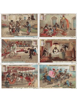 S 1006 / LIEBIG / SCIMMIE...