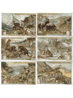 S 0958 / LIEBIG / FAUNA...