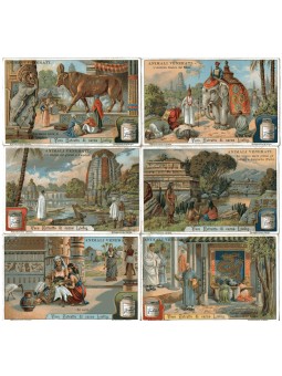 S 1036 / LIEBIG / ANIMALI...