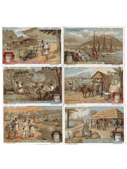 S 1132 / LIEBIG / NELL...