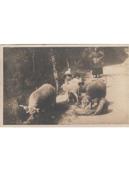 CARTOLINA POSTALE VIAGGIATA...