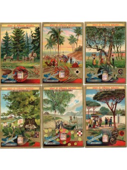 S 0501 / LIEBIG / ALBERI DI...