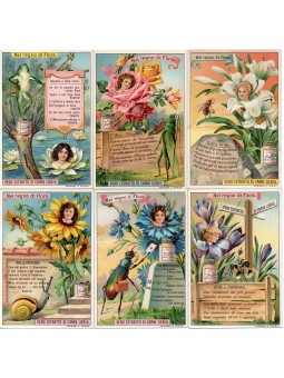 S 1020 / LIEBIG / NEL REGNO...